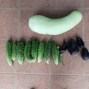 家庭菜園