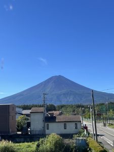 久しぶりの姿