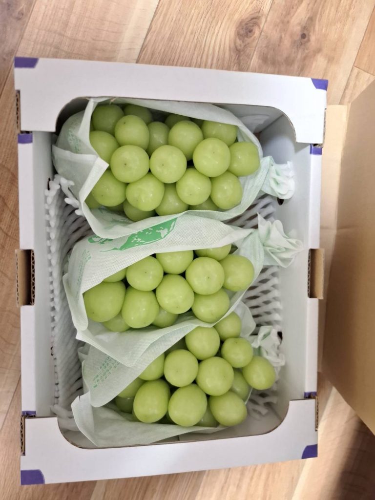 シャインマスカット🍇