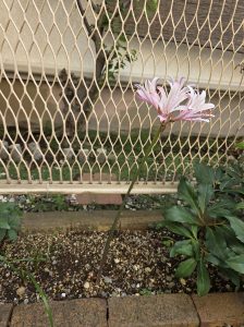 気づいたら・・・