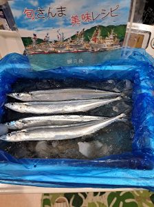 新サンマ