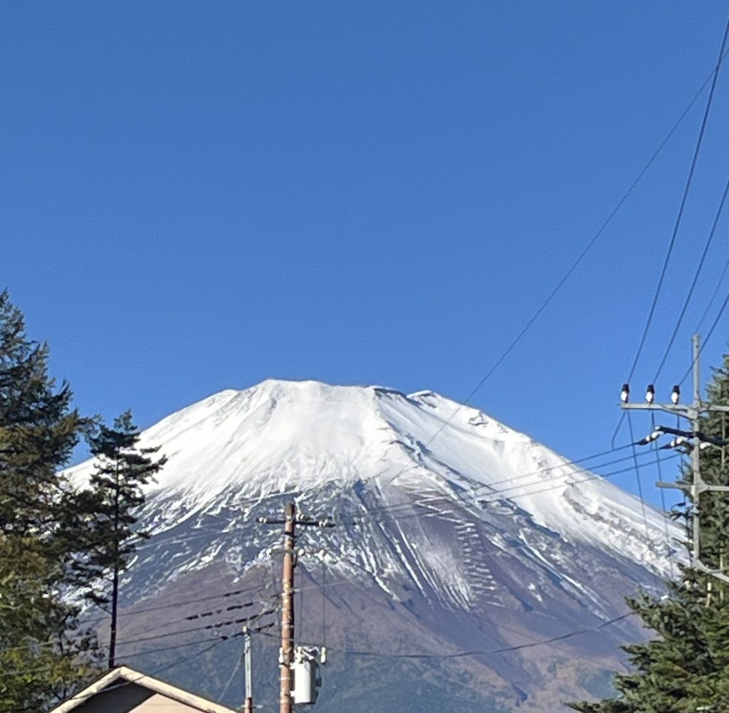 初冠雪