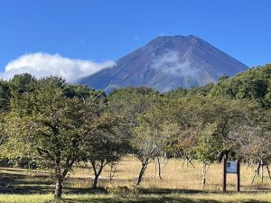 久しぶりの富士山