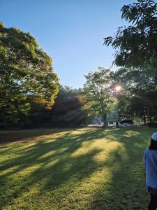 朝日