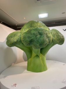 田中達也　見立ての世界