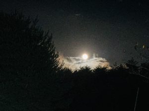 月夜 ♣