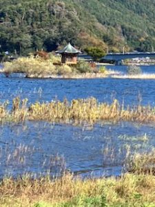 ここまで戻りました。